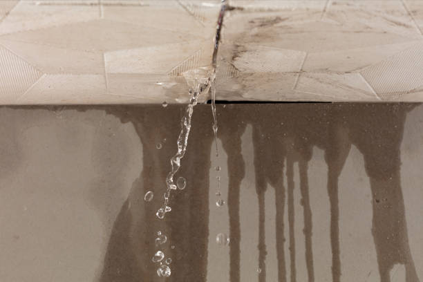 Professional Structural Drying technician working in Bowie, TX